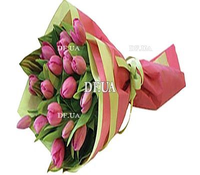 Tulips buy