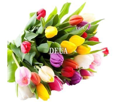 Tulips in a bouquet