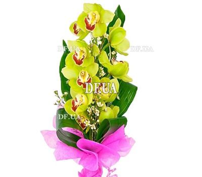 Green orchid branch