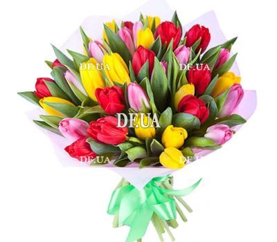 Bright tulips