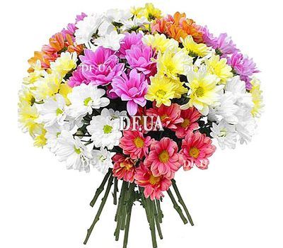 Bright bouquet of chrysanthemums