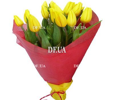 Yellow tulips