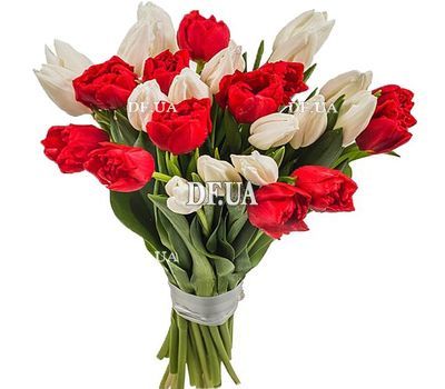 Live tulips