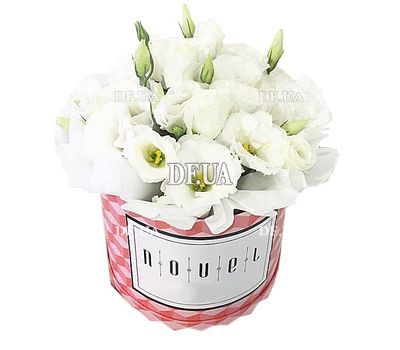White eustoms in the box