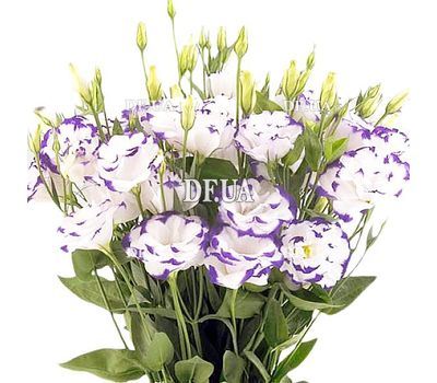Bouquet with an eustoma