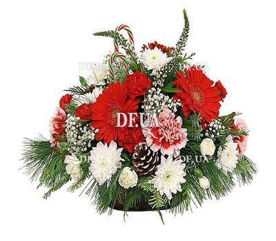 Flowers for Christmas