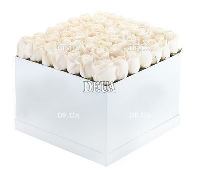 Roses in a square box