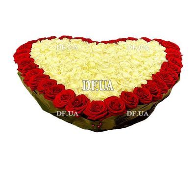 Большое сердце из 151 красной и белой розы