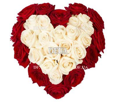 Heart of red and white roses