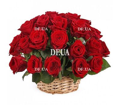 35 import roses in the basket