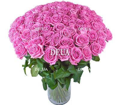 101 pink rose 50 cm