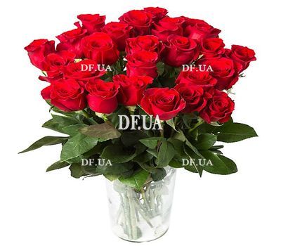 25 imported red roses