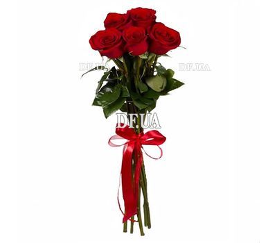 5 roses 1 meter