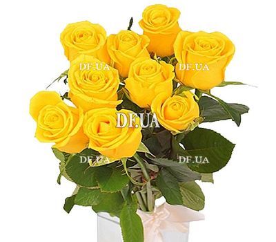 9 yellow roses