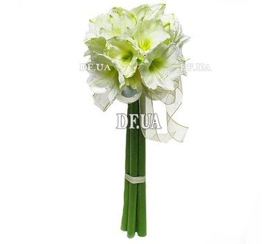 Amaryllis bouquet