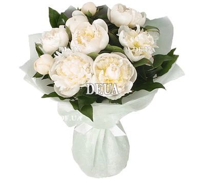 White peonies to buy