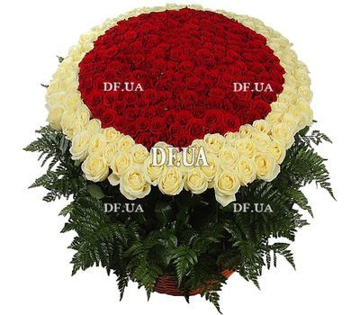 Bouquet of 1000 (1001) roses