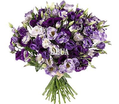 Bouquet 101 eustoma