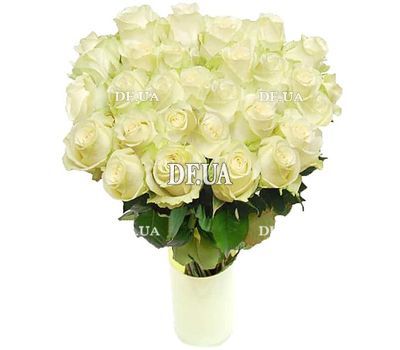 35 white roses
