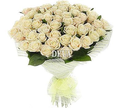 Bouquet of 55 cream-colored roses for the anniversary