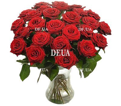 25 red roses