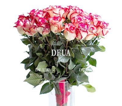 Bouquet of imported roses Blush