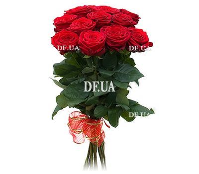 11 red roses