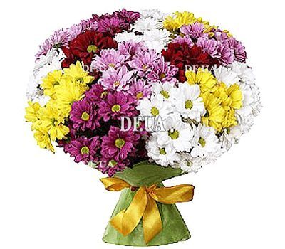 Bouquet of 15 chrysanthemums