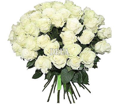 Bouquet of 45 white roses