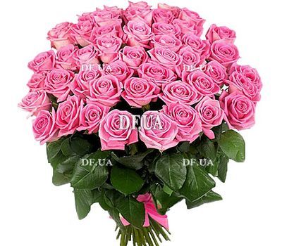 Букет из 51 розовой розы
