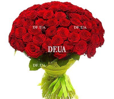55 red roses