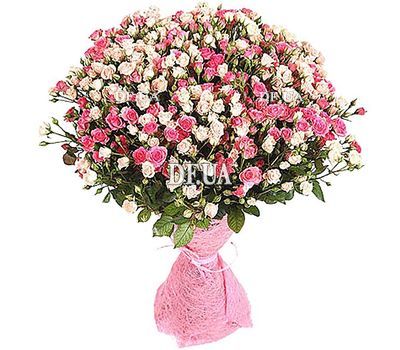 Bouquet of white and pink bush roses