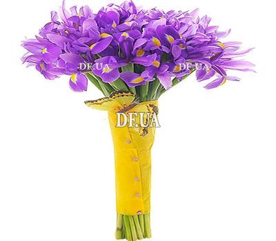 Bouquet of iris