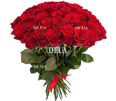 Bouquet of red Dutch roses