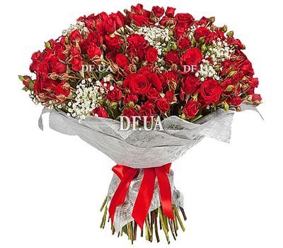 Bouquet of red roses bush with gypsophila