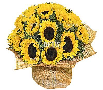 Bouquet of sunflowers