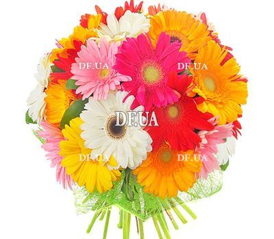Bouquet of different color gerberas