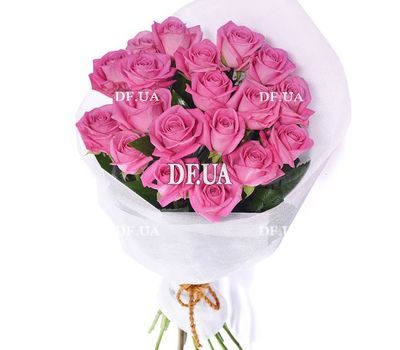 19 pink roses
