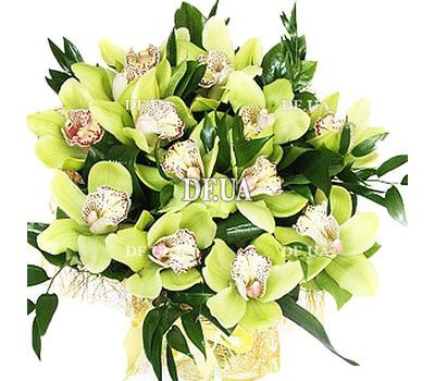 Bouquet of green orchids cymbidium