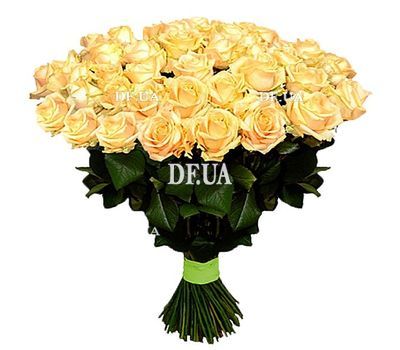 Bouquet of peach roses