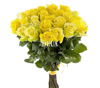 23 yellow roses