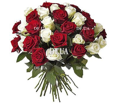 45 red and white roses