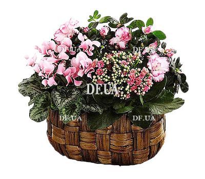 Flower arrangement from houseplants