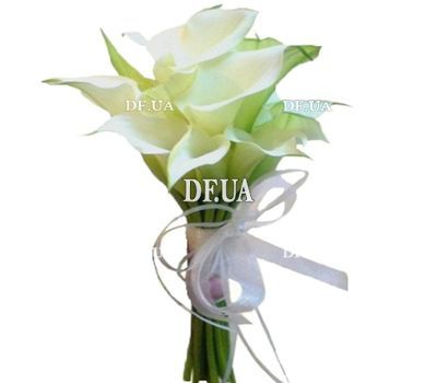 Flowers callas buy