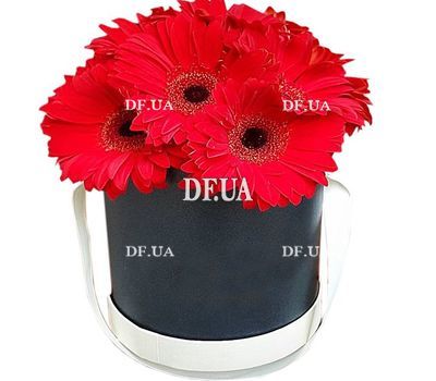 Flowers in a box are cheap