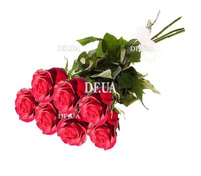 Long roses imported