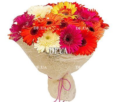 Gerberas in bouquet