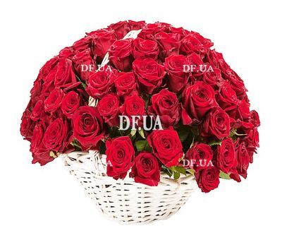 Cart of 101 roses