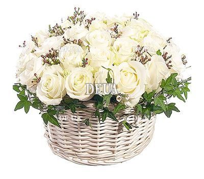Basket of white roses with verdure