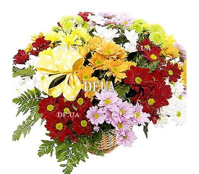 Chrysanthemum flowers basket